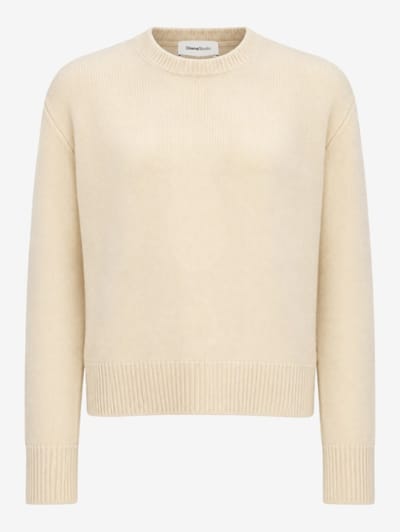 DIANA STUDIO - Cashmere Crewneck Knit Jumper