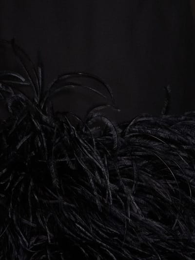 Valentino: Abito chemisier in seta con piume