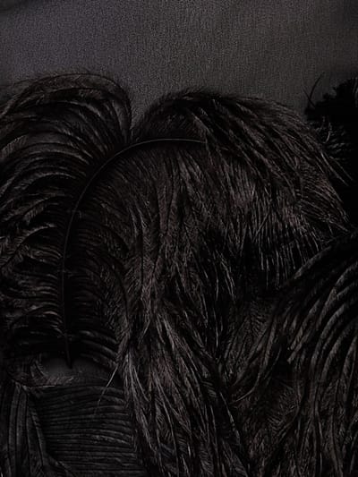 The Attico: Midi dress with ostrich feathers