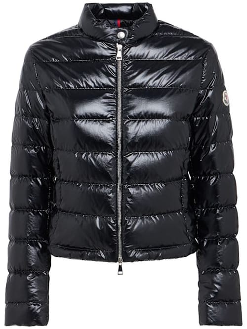 Moncler: 带领的短款羽绒夹克