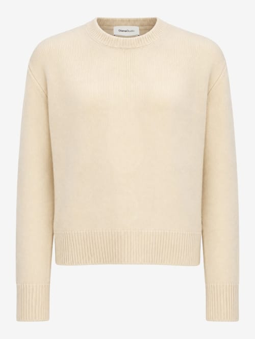 DIANA STUDIO: Cashmere Crewneck Knit Jumper