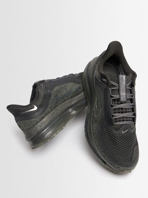 Nike: 佩加索斯高端SP运动鞋