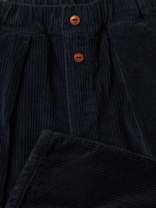 1 + IN THE FAMILY: Pleated pants