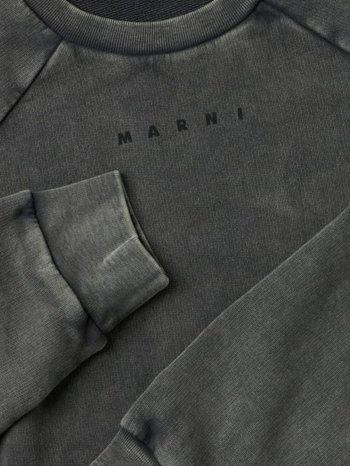 Marni Junior: Cotton sweatshirt