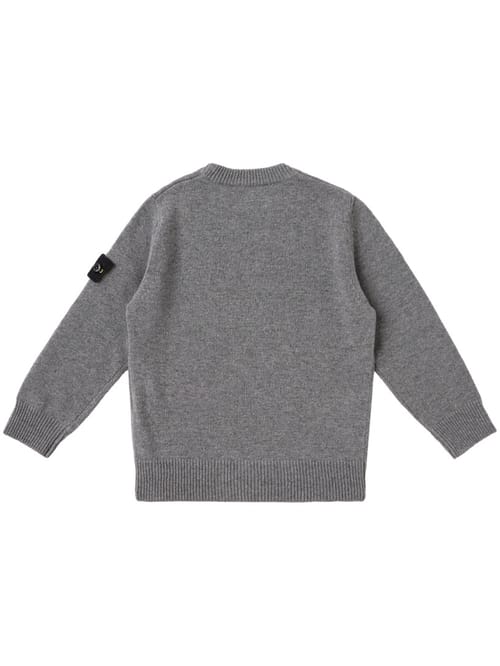 Stone Island Junior: Crewneck sweater with badge