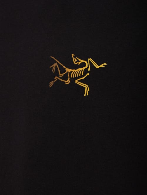 Arc'teryx: T-shirt Kragg in cotone con logo