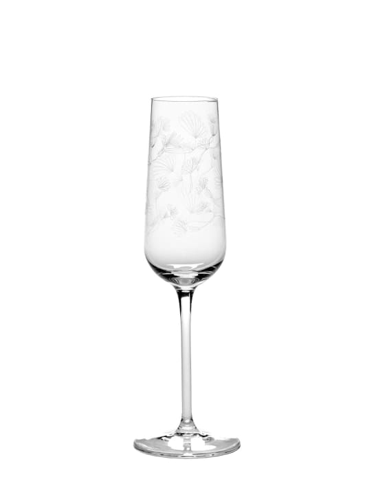 Marni By Serax: Camelia Aubergine玻璃杯4个套装