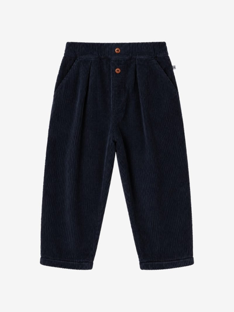 1 + IN THE FAMILY: Pleated pants