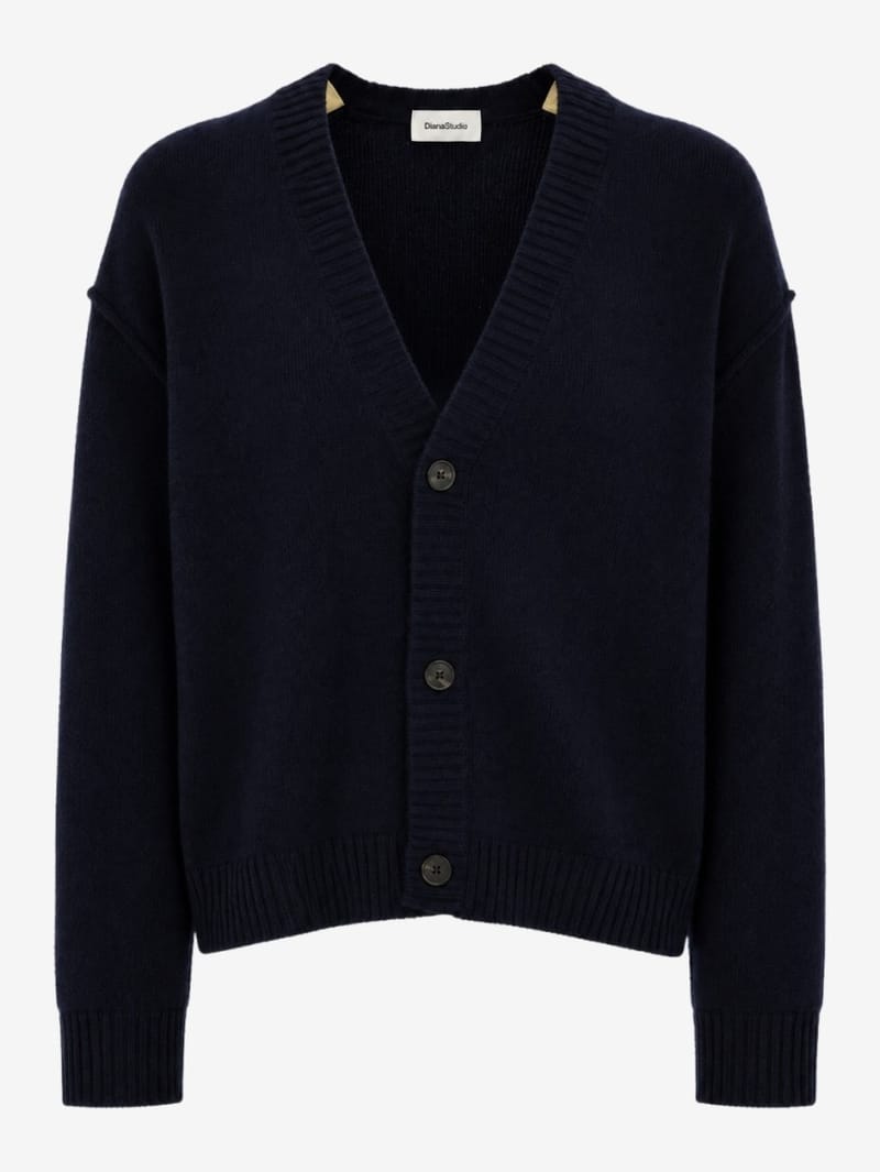 DIANA STUDIO: Cashmere Knit Cardigan