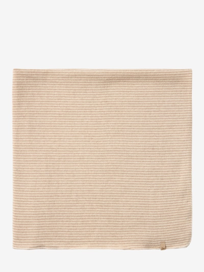1 + IN THE FAMILY: Striped baby blanket