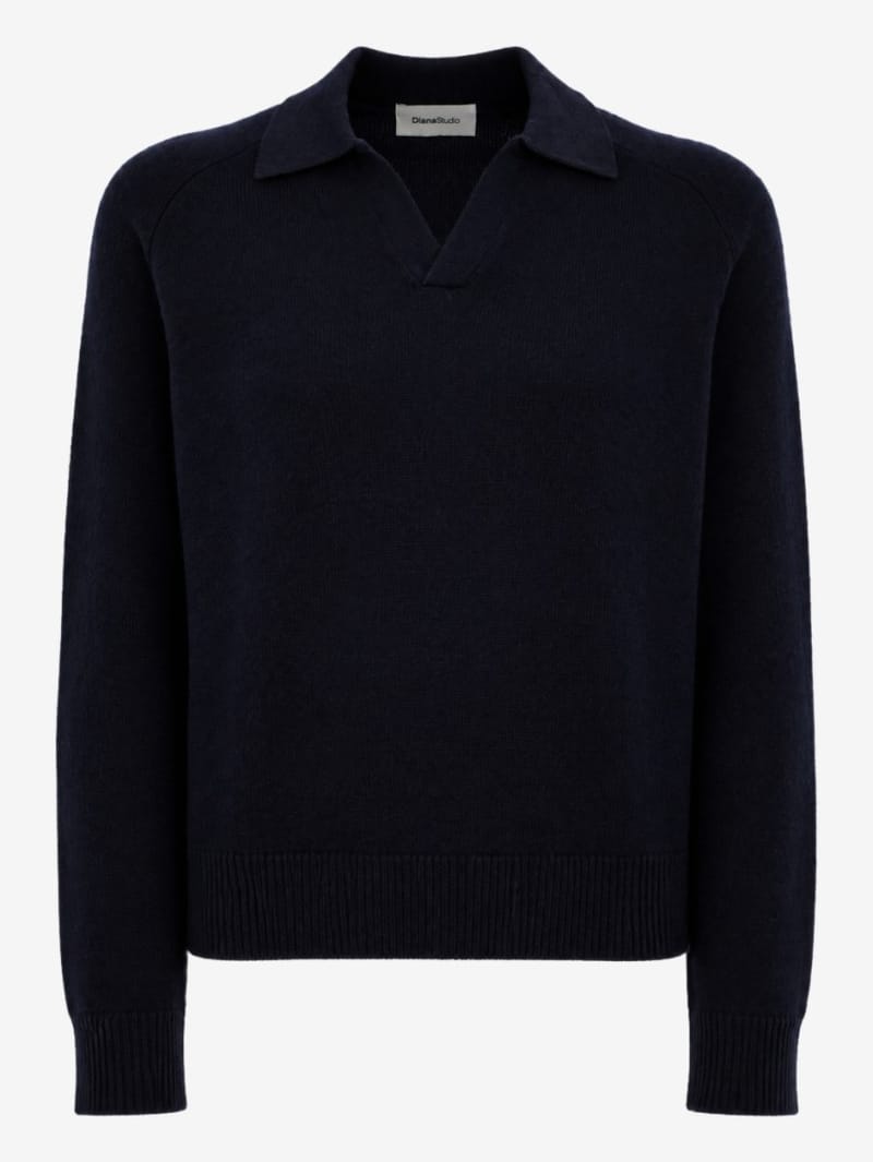 DIANA STUDIO: Crewneck cashmere knit sweater