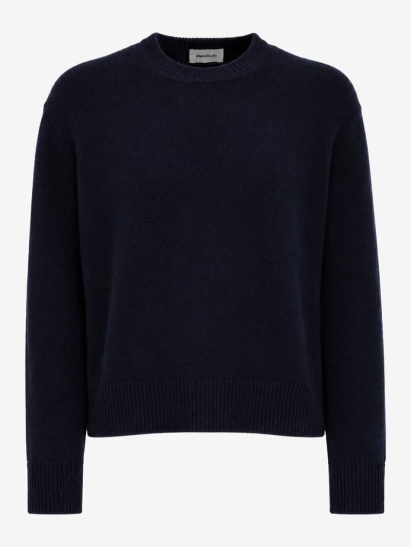 DIANA STUDIO: Crewneck merino & cashmere knit sweater