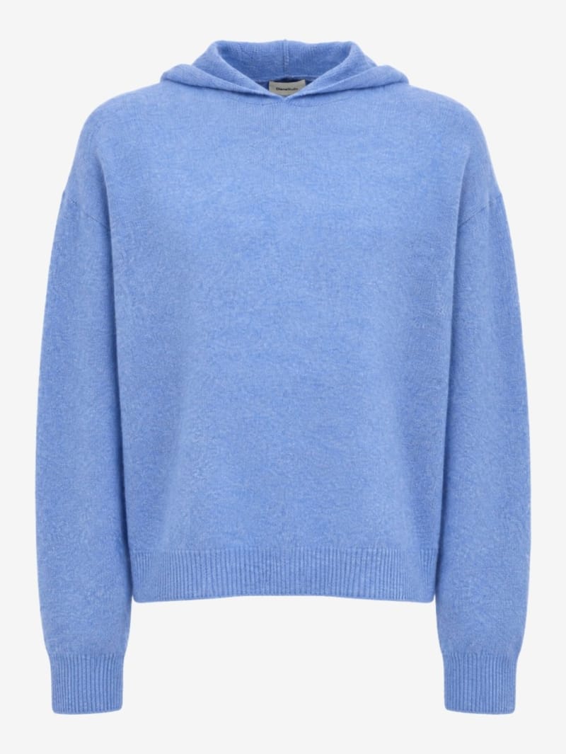 DIANA STUDIO: Merino wool & cashmere knit hoodie