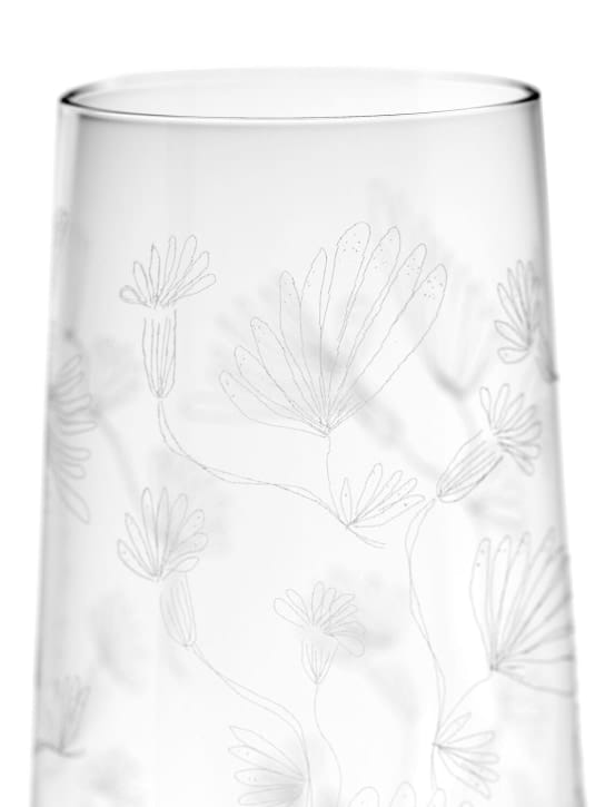 Marni By Serax - Camelia Aubergine玻璃杯4个套装