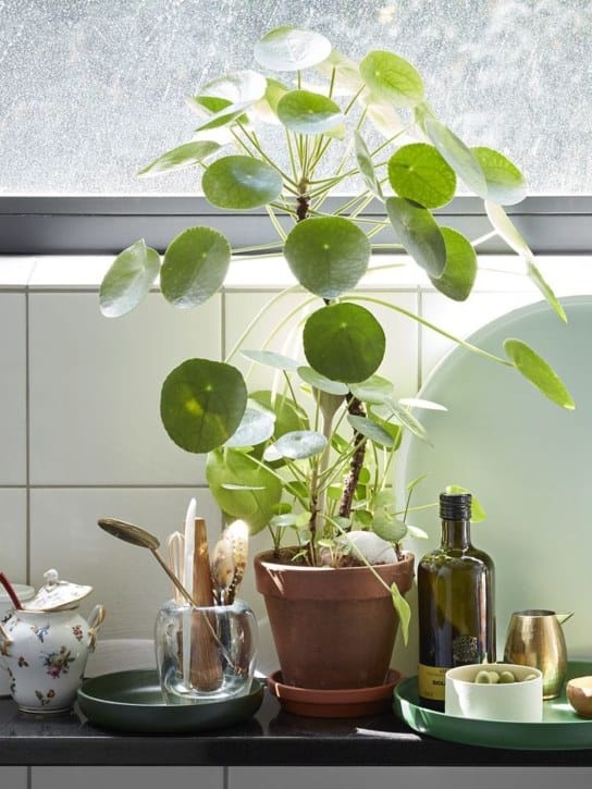 Vitra - 杂物盘3个套装