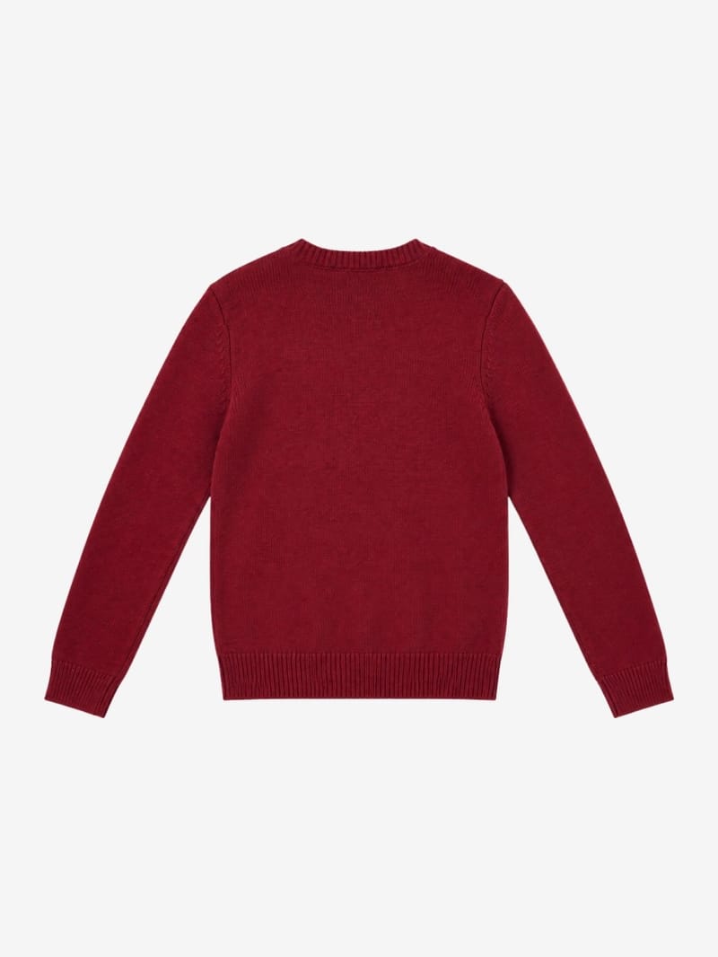 Diesel Kids: Cotton crewneck sweatshirt w/logo