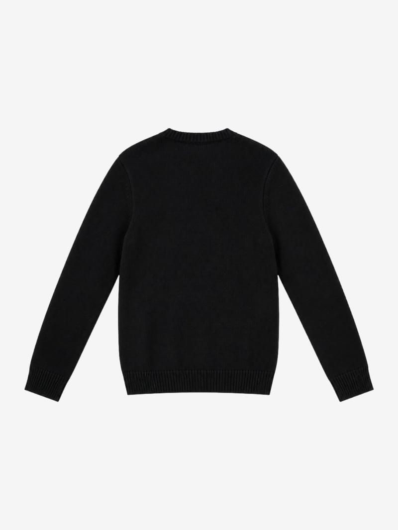 Diesel Kids: Cotton crewneck sweatshirt w/logo