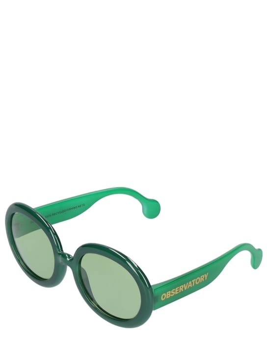 Lunettes De Soleil Ovales En Econyl Vert - The Animals Observatory ...