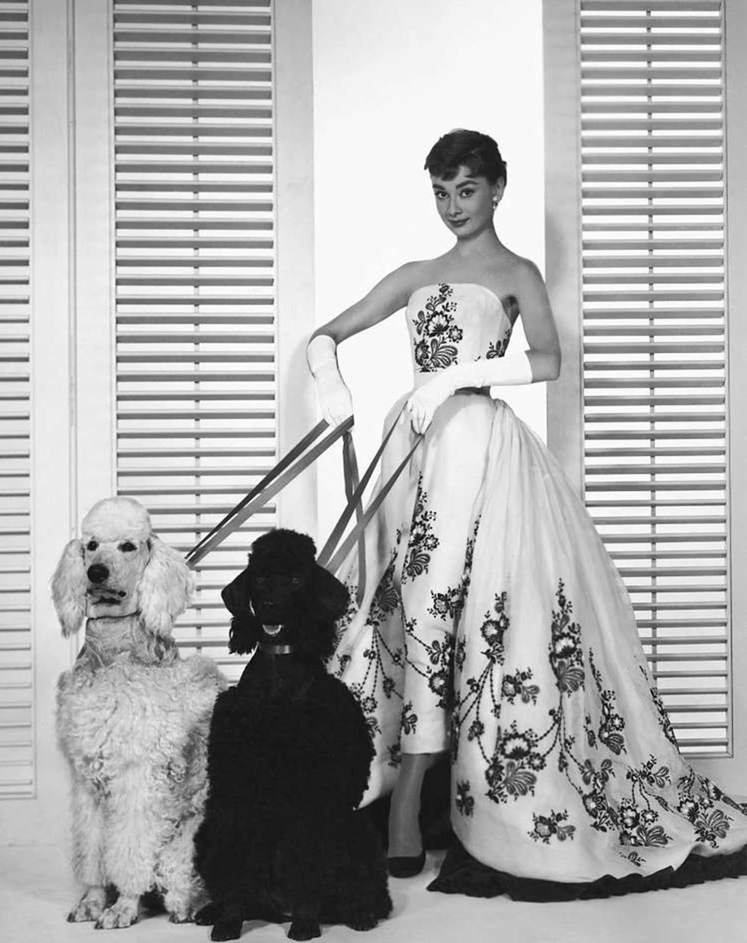 Audrey Hepburn wearing a strapless white Givenchy gown in her movie Sabrina.