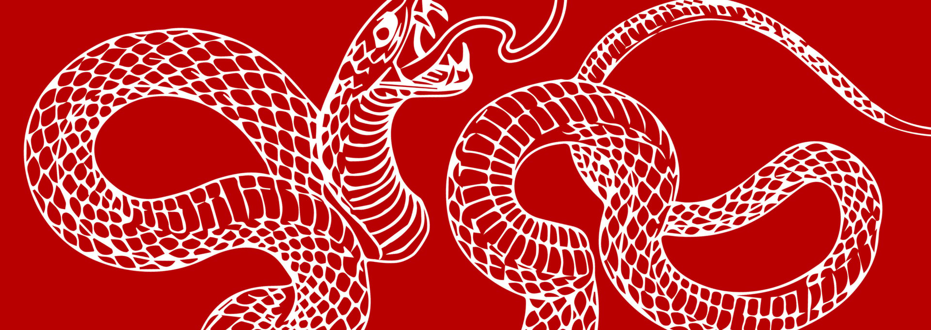The Year of the Snake: LVR’s Annual Lunar New Year Celebration